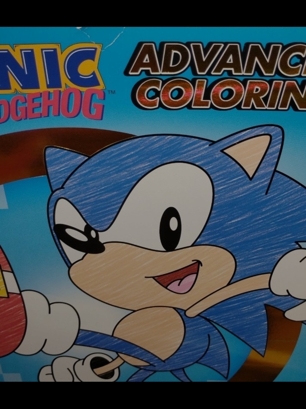Sonic the Hedgehog Advanced Coloring Book